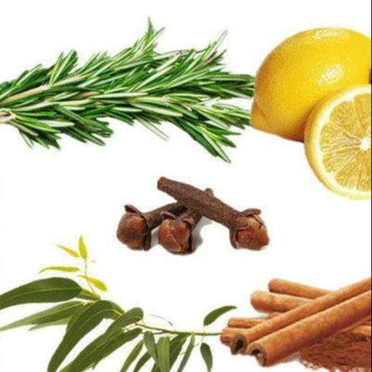 Four Thieves Essential Oil Blend | Protective Aromatic Synergy