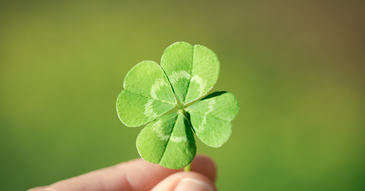 Spring Renewal: Why Skin Thrives on Rhythm — Not Luck