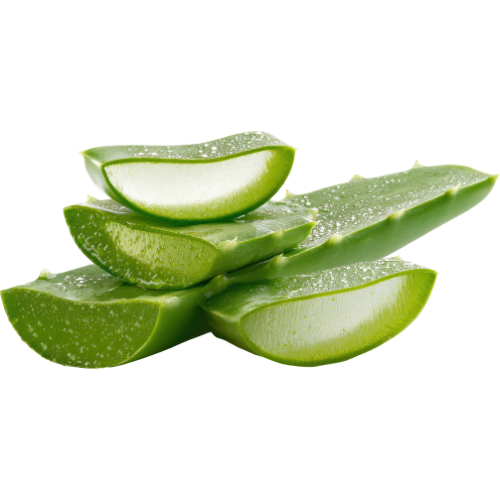 Aloe Vera Butter (Cold Pressed, Unrefined) | Soothing & Restorative Skin Butter