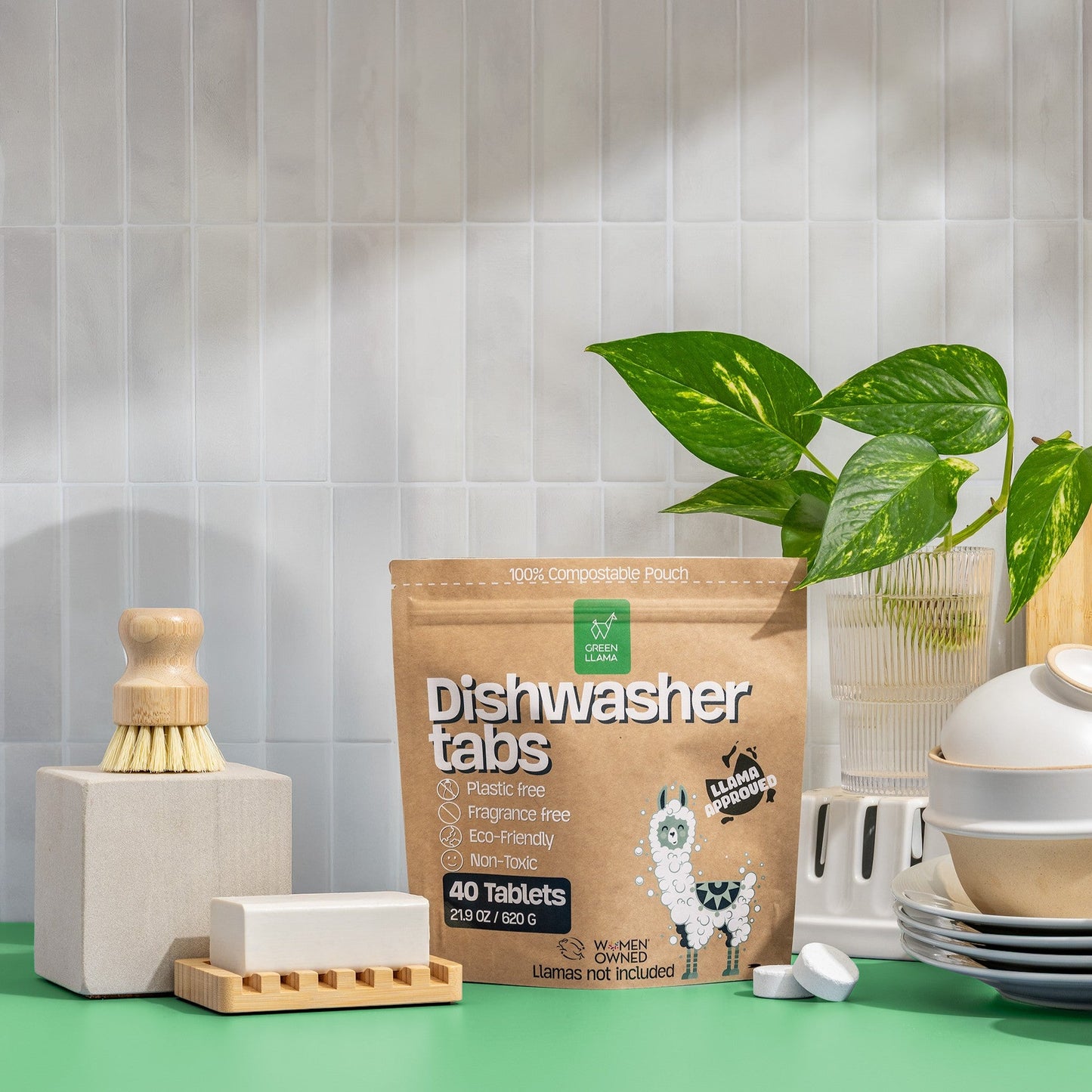 Green Llama Dish Starter Kit