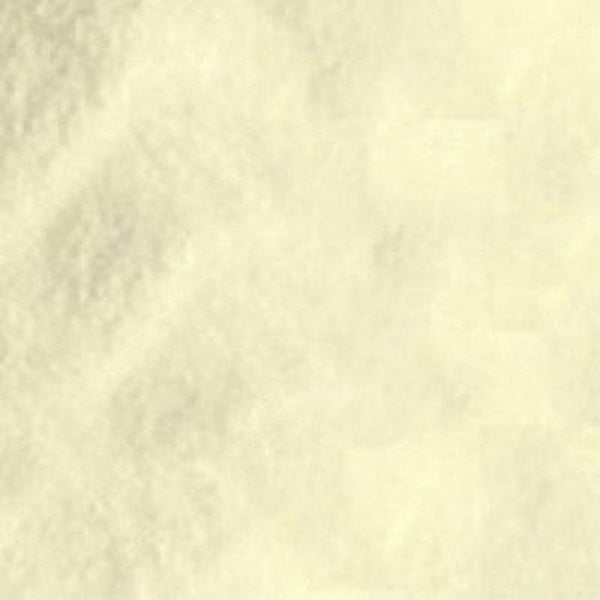 Aloe Vera Extract Powder 100X – Organic | Soothing & Hydrating