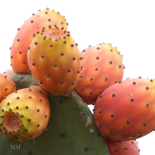 Close-up of a cluster of prickly pears with green and orange skin on a white background.