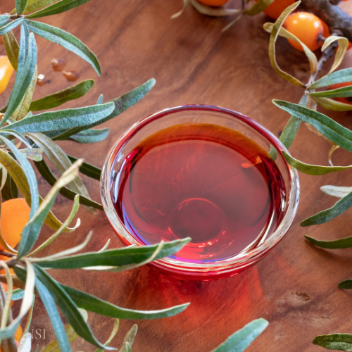 Small glass bowl of sea buckthorn oil on a wooden surface with sea buckthorn berries and leaves.