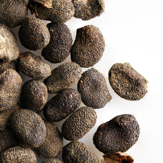 Bakuchiol Liquid Botanical Extract – Water Soluble | Gentle, Potent & Plant-Based