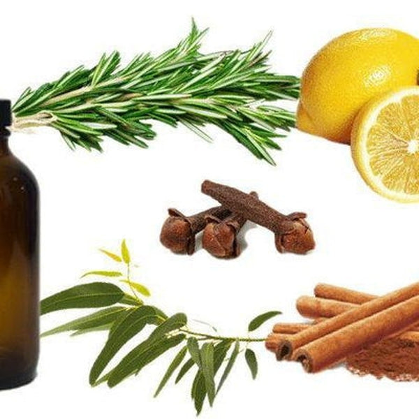 Four Thieves Essential Oil Blend | Protective Aromatic Synergy