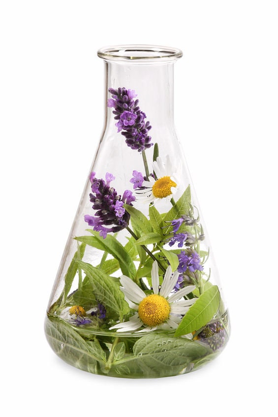 Leucidal® Liquid SF (Salicylate-Free) | Natural Preservative