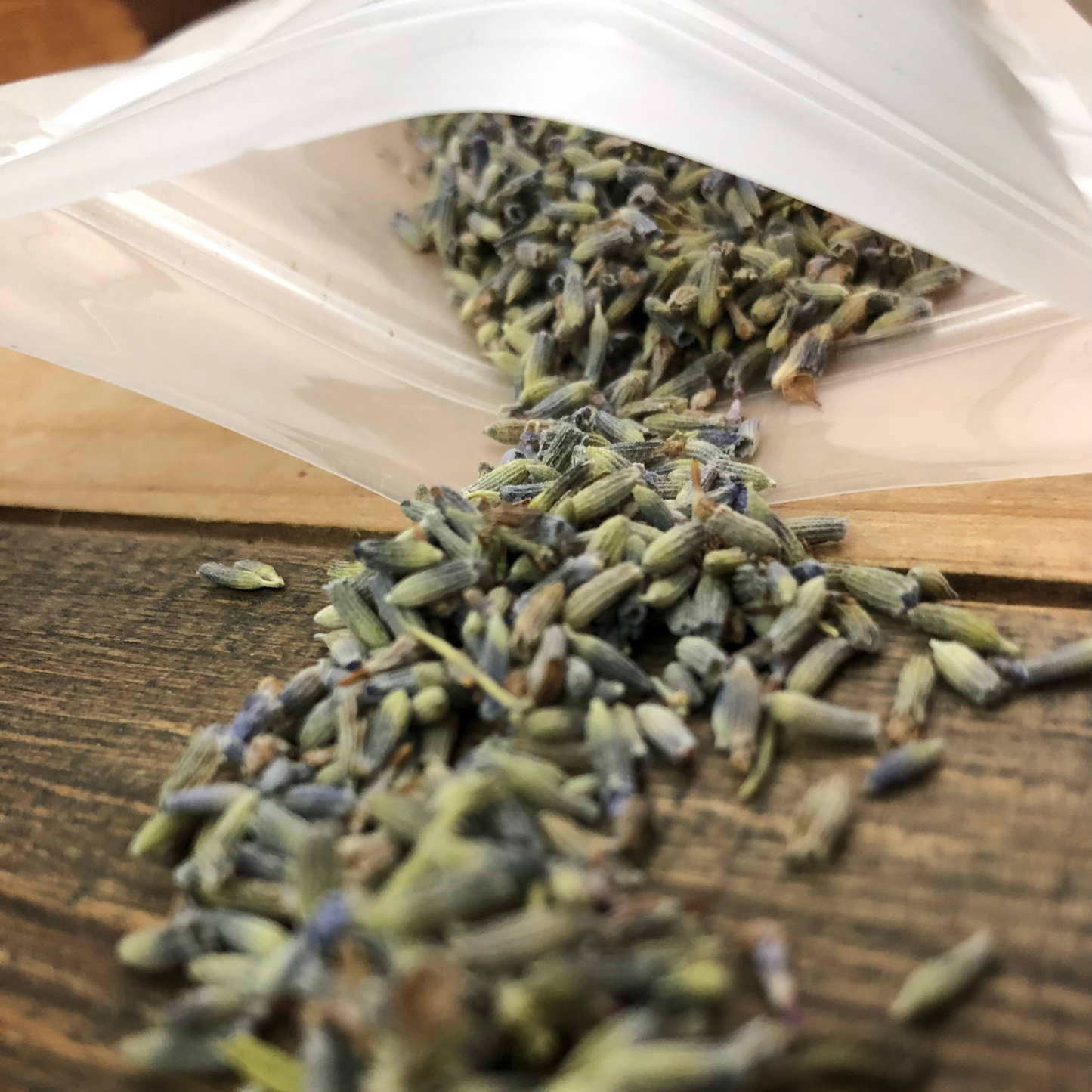 Lavender