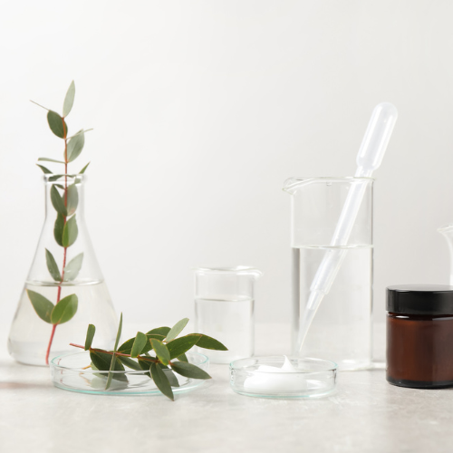 Clear glass containers with eucalyptus leaves on a white background